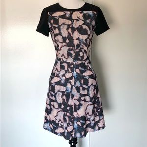 Club Monaco Dress
